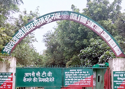 Okhla Bird Sanctuary Delhi Darshan Agra Sightseeing Bus Car Cab Tour Hire Rental