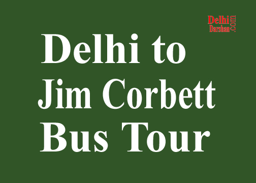 Delhi to Jim Corbett Bus Tour