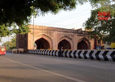 Tripolia Gate Rana Pratap Marg delhi darshan agra sightseeing bus